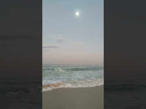 Moon&Sea Magick🌝connecting to my mermaid family🌊