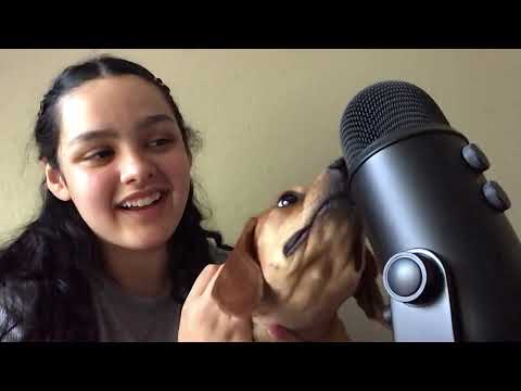 ASMR ~ Special Guest My Dog Buster
