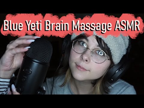 Blue Yeti Brain Massage ASMR | Mic Scratches