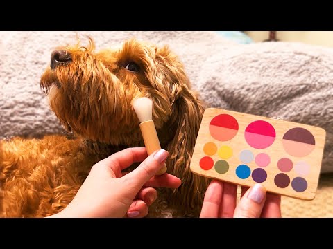 ASMR Doing My Dogs Wooden Makeup (Whispered)