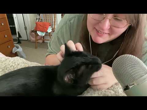 Kitten Pampering ASMR with Purring Sounds