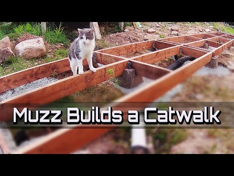 Muzz Builds a Catwalk