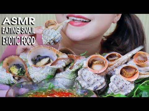 ASMR EATING LABLE SNAIL AND BIG MOUTH SNAIL(EXOTIC FOOD) CHEWY EATING SOUND 먹방 | LINH-ASMR