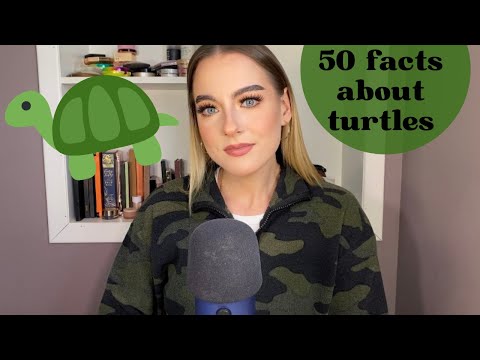 ASMR | 50 facts about turtles 🐢