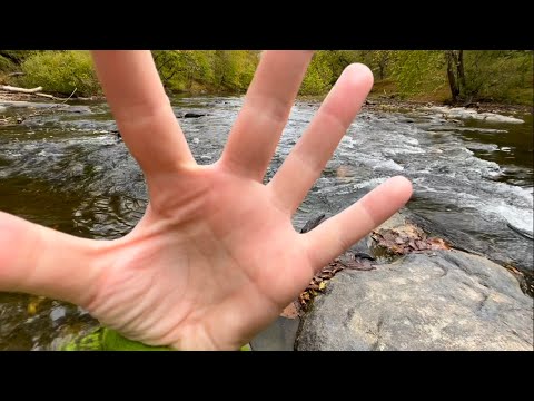 ASMR On A Hike🥾💧 Hand Movements + Nature Sounds🏞️