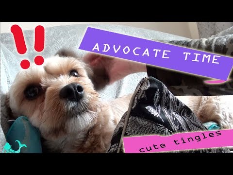 *how to* advocate application. a short soft spoken demo of how to. asmr. relaxing. cute