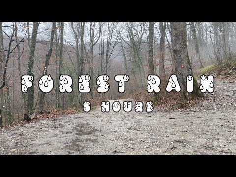 Forest Rain Ambiance: Foggy Weather | Sleep, Relax, Meditate, Study & Work | ASMR Sounds