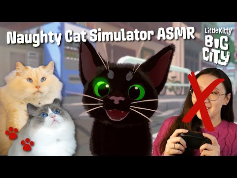 ASMR 😻 The Funniest Cat Game Ever 😼 Ear to Ear Whispers 🐈 Little Kitty Big City