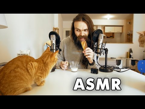 ASMR 직접 만든 빵을 고양이와 함께 먹어요! | 한국어, 먹방 | Mukbang Making & Eating Bread with my Cats