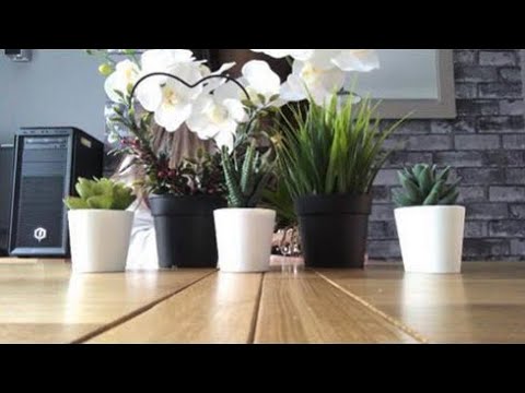 ASMR Tapping and scratching on fake plants & plant pots