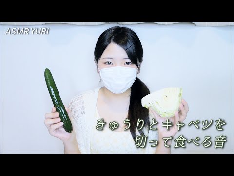 【音フェチ】きゅうりとキャベツを切って盛って食べる【ASMR】The sound of eating cucumbers and cabbage