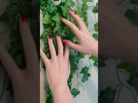 Playing With Crinkly Leaves💚🌿 ASMR
