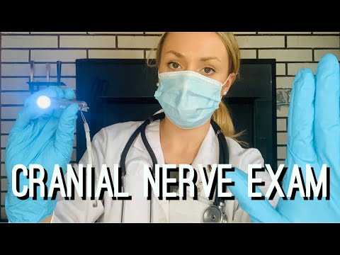 Cranial Nerve Exam Roleplay ASMR | Medical Exam Gloves | Testing Your Senses | Doctor Roleplay ASMR