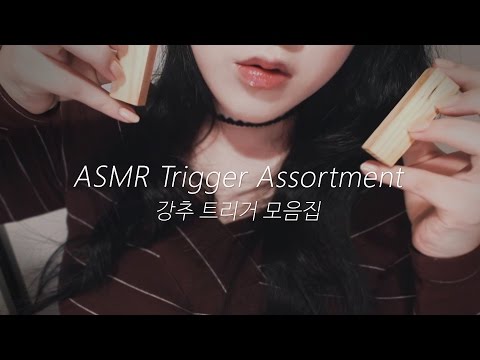 ASMR Best 10 Triggers Assortment (No Talking) 강력추천소리모음!