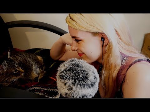 ASMR Personal Attention on My Cat | Petting, Brushing, Combing, and Lots of Purring :)
