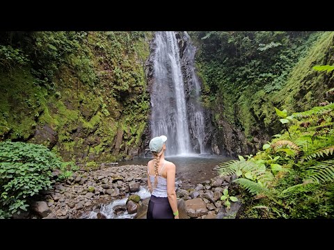 ASMR | Costa Rice Travel Vlog #3 | Jungle Meditation