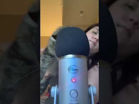 Cat sounds with my new mic cover