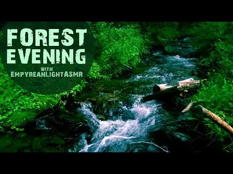 Forest MEDITATION 🌲 Birds, Rain, Soft Spoken Poetry Reading 🌲 Collab with EmpyreanLightASMR