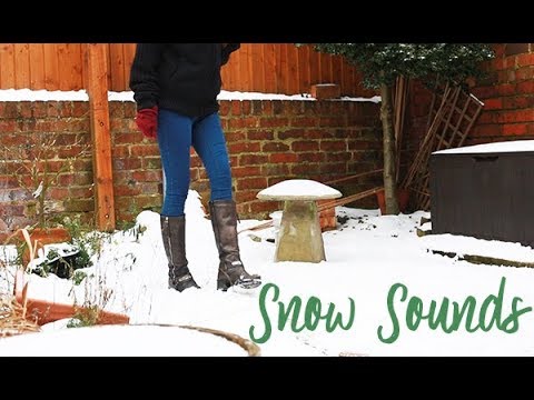 Snow sounds only ❄️ (Footsteps, Crunching, Background noise) ASMR