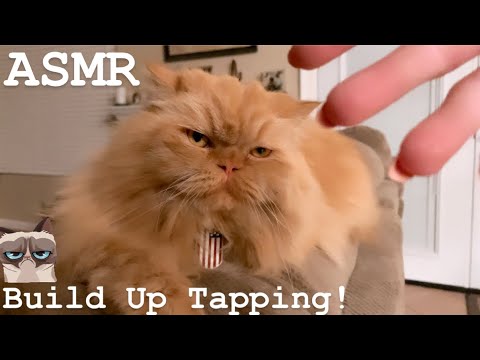 ASMR Build Up Tapping!
