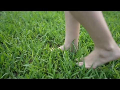ASMR Feet Walking Through Nature Making Sounds  (No Talking)