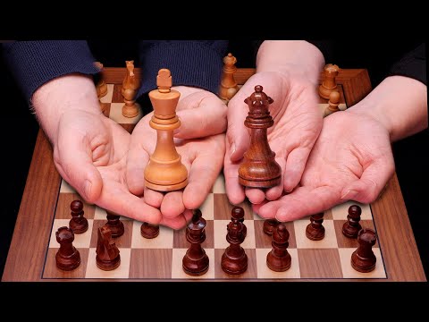 Teaching My Friend The Sicilian Dragon Chess Opening ♔ Relaxing Learning Experience for Sleep ♔ ASMR
