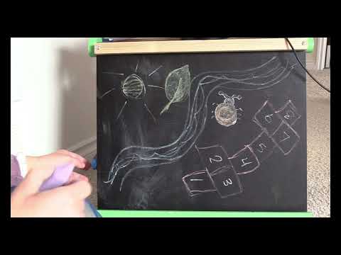 Whispers of Chalk: Relaxing ASMR Drawing on a Blackboard