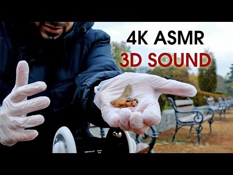 4K Pure Binaural 3D Relaxing ASMR Sounds for Sleep (Outside in Park)