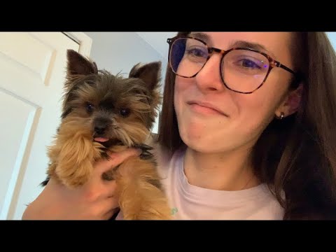 ASMR 1 Minute Mouth Sounds (With My Dog) 🐶