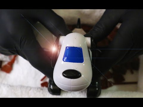 Worlds First ASMR Bionic Security Dog