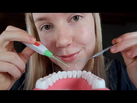 [ASMR] Cleaning Your Teeth