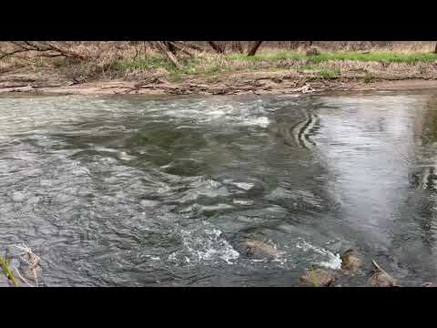 ASMR River/Water Sounds