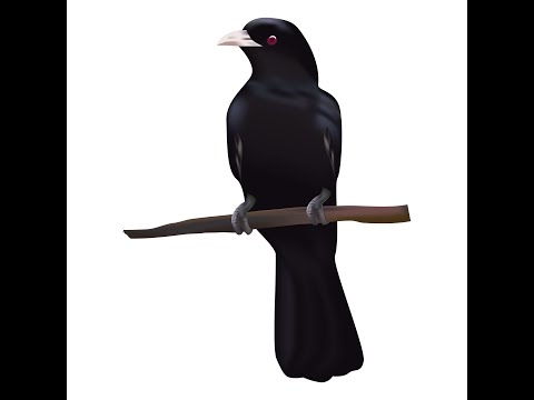 ASMR Original Story: Happy little raven (soft spoken & typing)