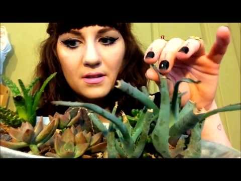 ASMR Plants and Nature Sounds