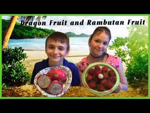 Dragon Fruit and Rambutan Fruit/how to eat it included | ft. My brother