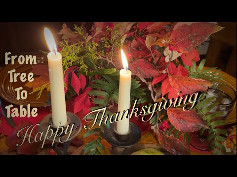 ASMR Happy Thanksgiving! From tree to tabletop (No talking) Hunt for leaves to decorate the Table.