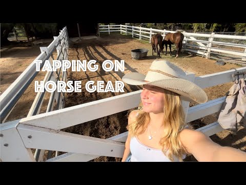 ASMR:Tapping & Scratching On All Things Horse🐎