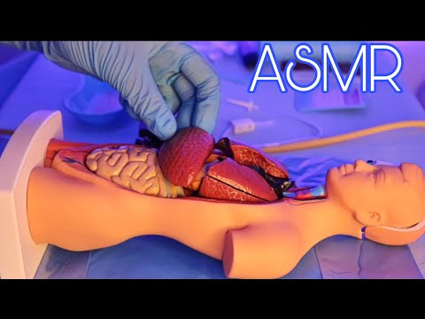 ASMR | ESCOLA DE BIOMEDICINA - IML