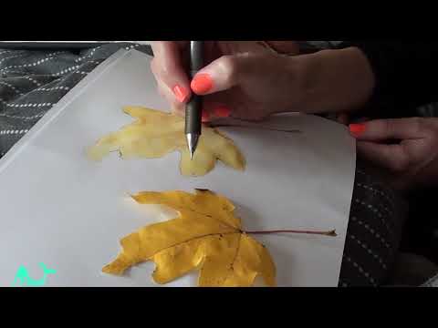Ariel the Painter. Autumn/Fall painting leaves. *relaxation time*