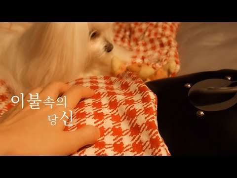 [ASMR] Play with your dog and go to sleep