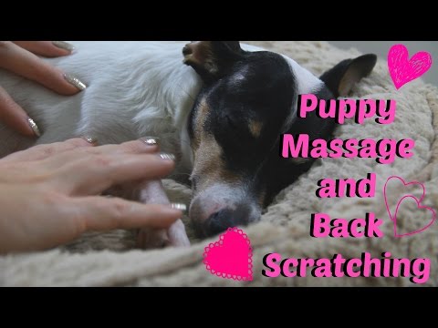 Puppy Massage and Back Scratching *whispered* *ASMR*
