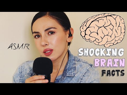 ASMR 🧠 What's Your Brain Shape? ~ ASMR Close Up Whispering Shocking Brain Facts