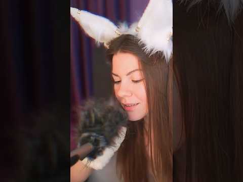 stroking your ear with a rabbit tail Asmr #асмр #asmr #shots