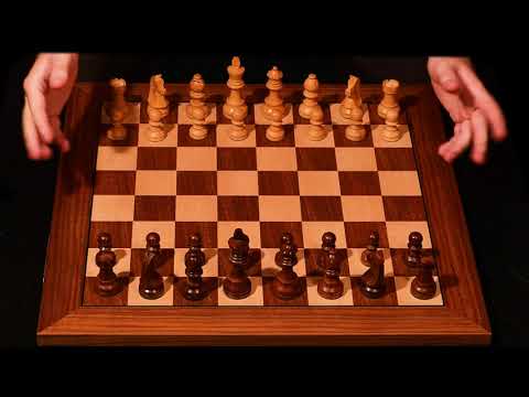 Relaxing Chess Sounds from Historical Games (no talking) ♔ ASMR