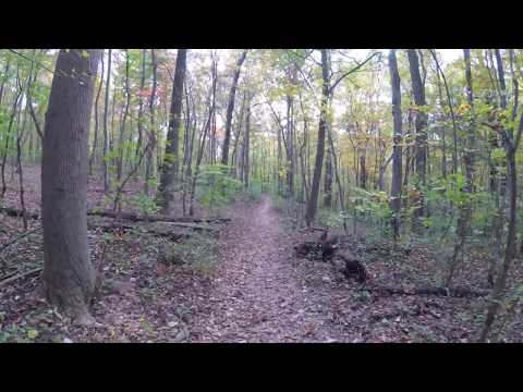 ASMR Hiking [4K] Leafy Crunchy Fall Hike