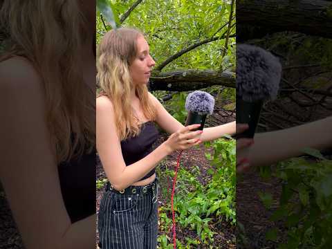 Outdoor ASMR in a forest 🌳🌿