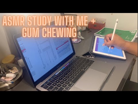 ASMR| Study With Me + Gum Chewing #5