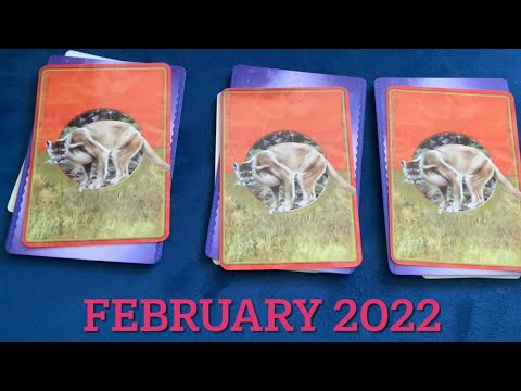 Pick a Card ASMR: February 2022