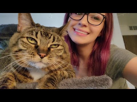 ASMR Kitty Purring & Licking Sounds😻