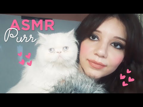 ASMR EN ESPAÑOL / Chilling with my cat ♥